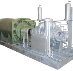 Radially-Split Pumps (BB2)
